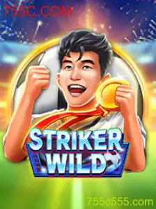 StrikerWILD: Explorando o Novo Sensação dos Jogos